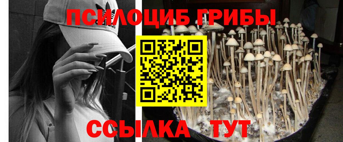 Аксай  Галлюциногенные грибы MAGIC MUSHROOMS  Вход с VPN 
